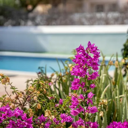 Exclusively Located Golf With Heated Pool Villa San Miguel de Abona