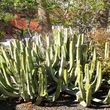 Exclusively Located Golf With Heated Pool * Σαν Μιγκέλ ντε Αμπόνα